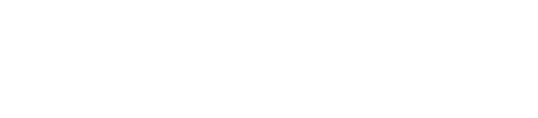 Garage De Bruyn logo